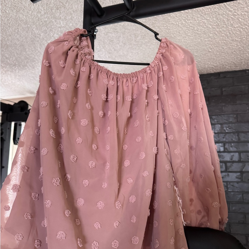 Pink Sheer Polka Dot Blouse